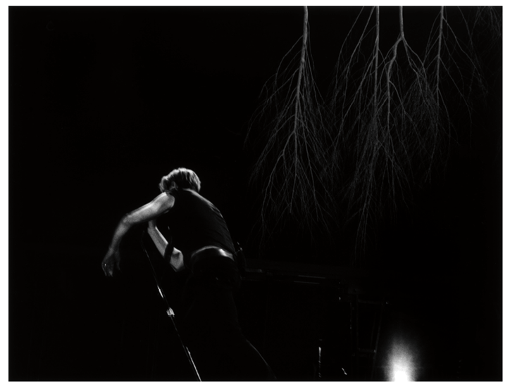 Figure 12 One of the images of Bowie from the back from the Stage collection that Slimane republished on the occasion of Bowie’s death