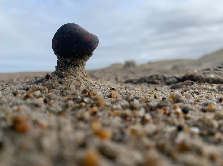 Figure 1: Balancing in the wind. Photograph by Annette Markham. Used by permission.