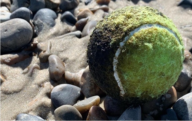 Figure 14: Partial Fractal B: Tennis Ball. Photo by Annette Markham. Used with permission.