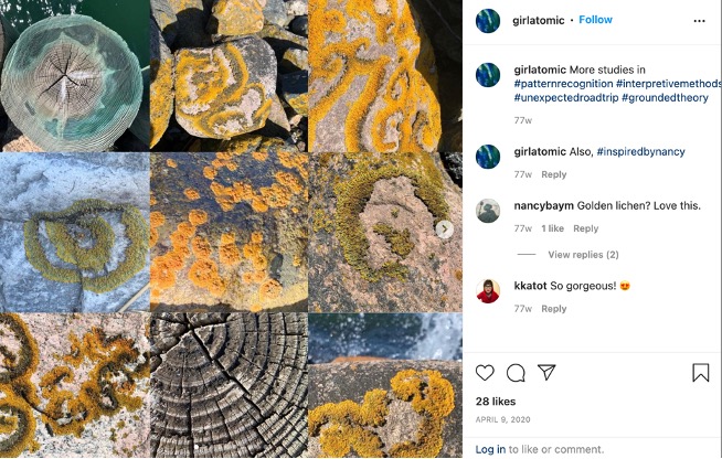 Figure 16: Partial Fractal D: Trees and Lichen. Screenshot of Instagram post and photos by Annette Markham. Used with permission.