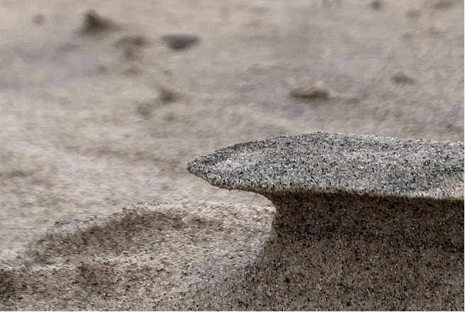 Figure 5: Wind carved microscopic sand cliff. Photo by Annette Markham. Used with permission.