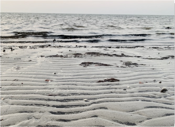 Figure 8: Pattern Recognition Type I. Photo by Annette Markham. Used with permission.