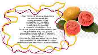 Figure 11b: Guavas and me.