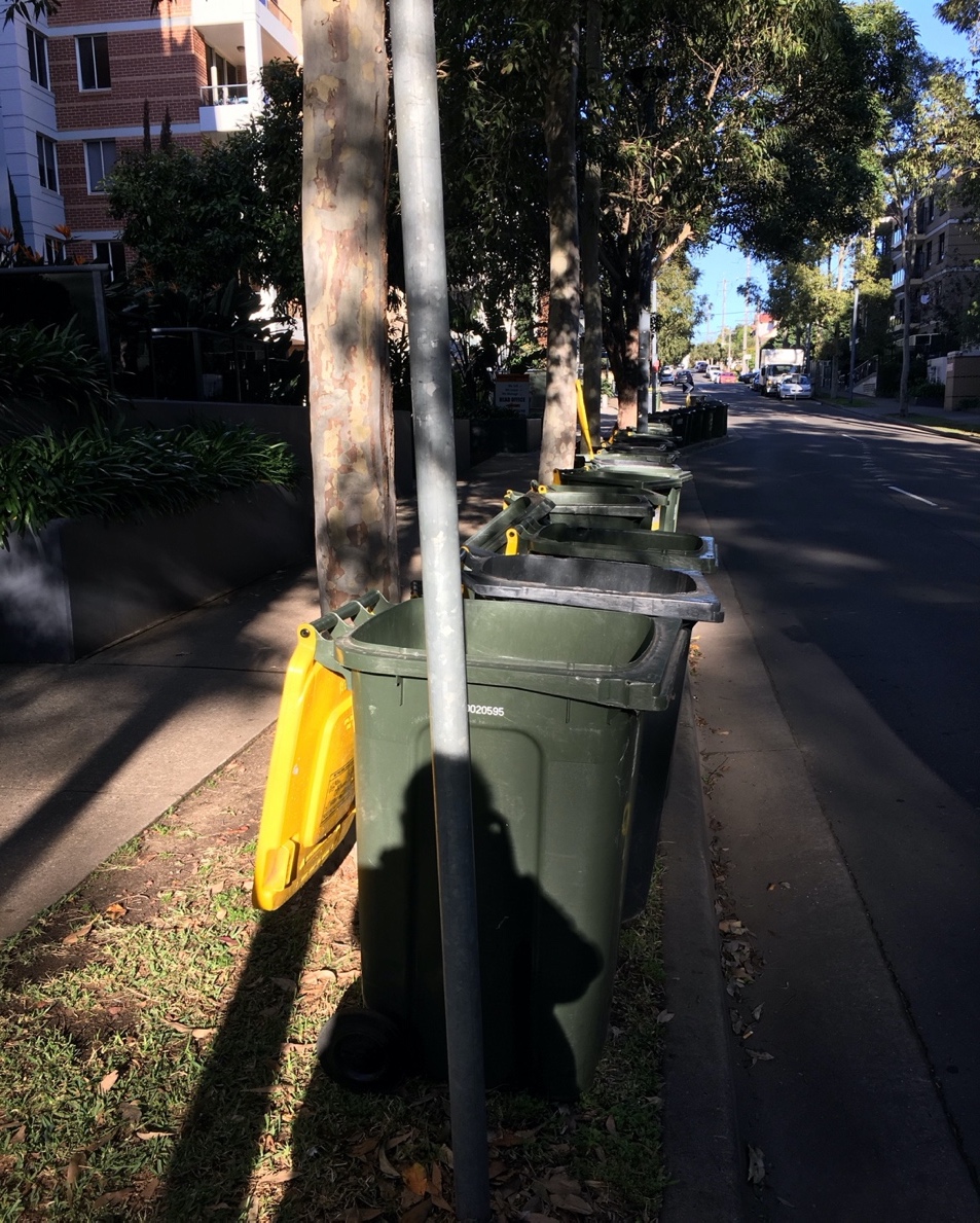 Figure 4: Image of Self in Row of Recycling Bins from Kamay – (Botany Bay), 2020. Image by the author.