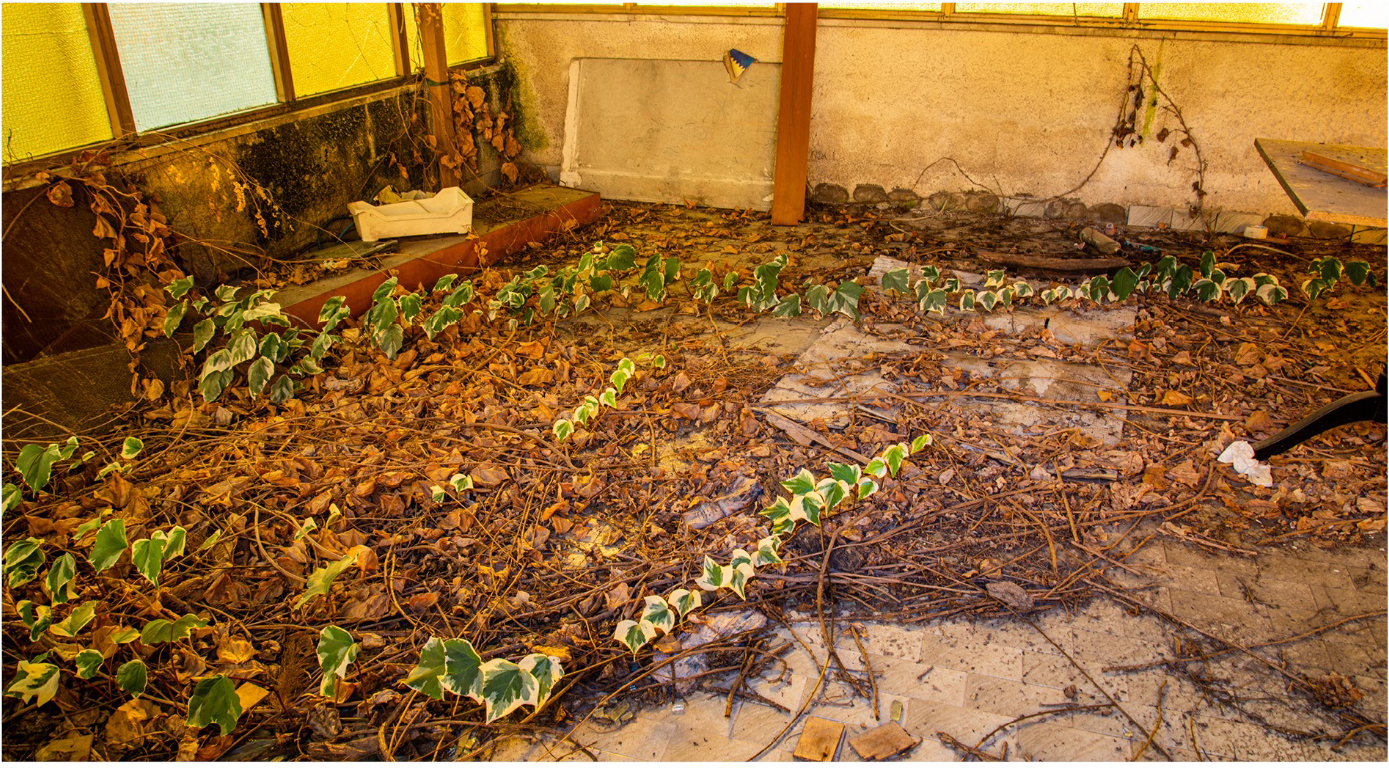 Figure 3: Abandoned building in Villa Latina